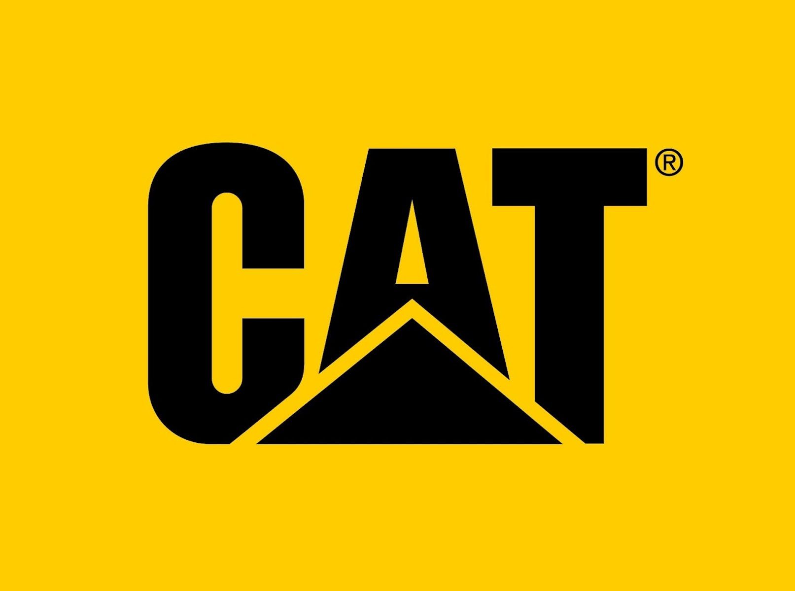 CAT LOGO